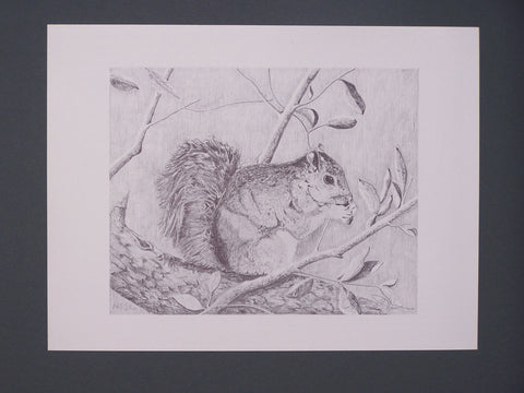 Squirrel by Christopher Dawson